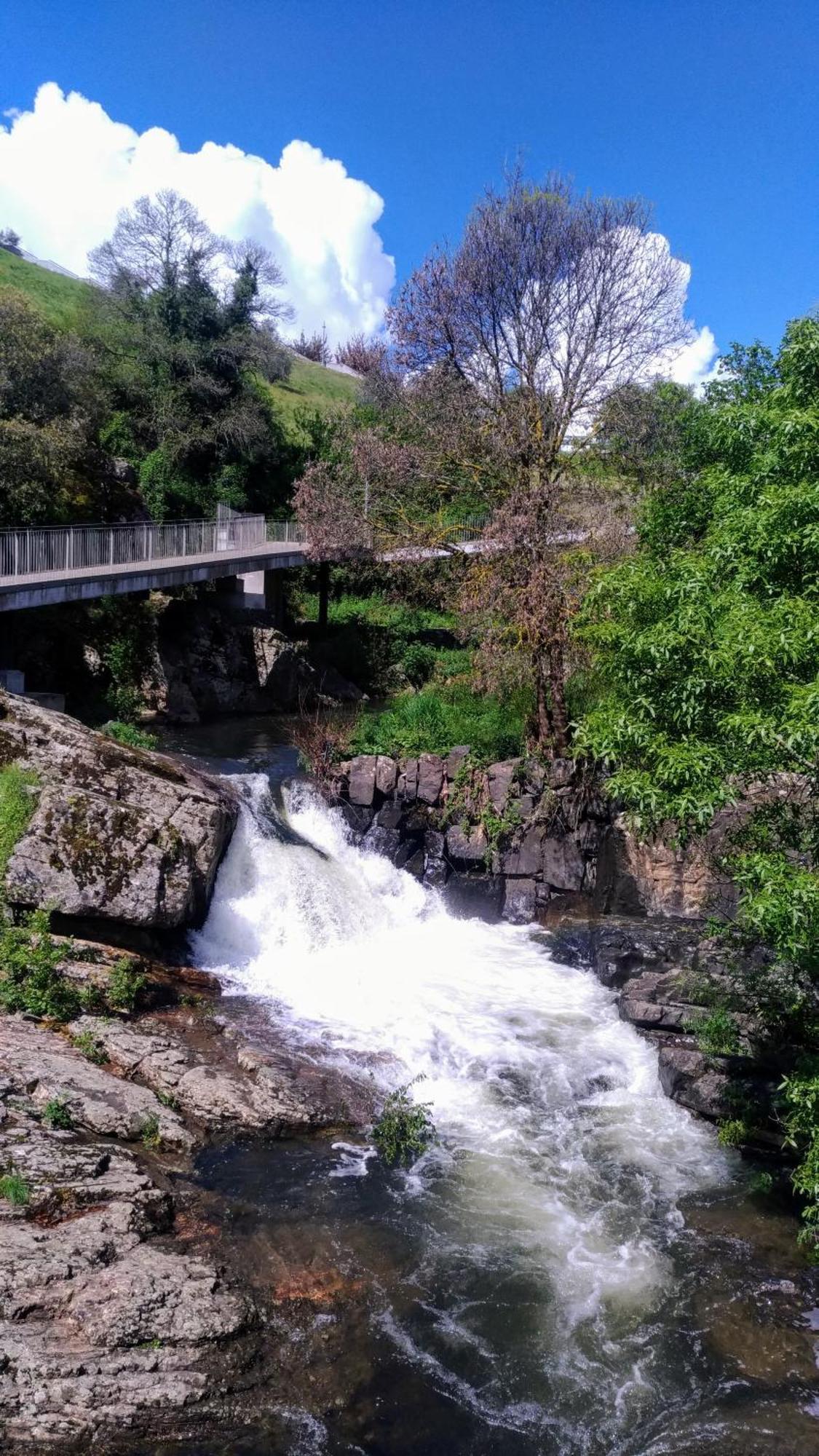 Casa Do Rio Fervenca Villa Bragança Dış mekan fotoğraf